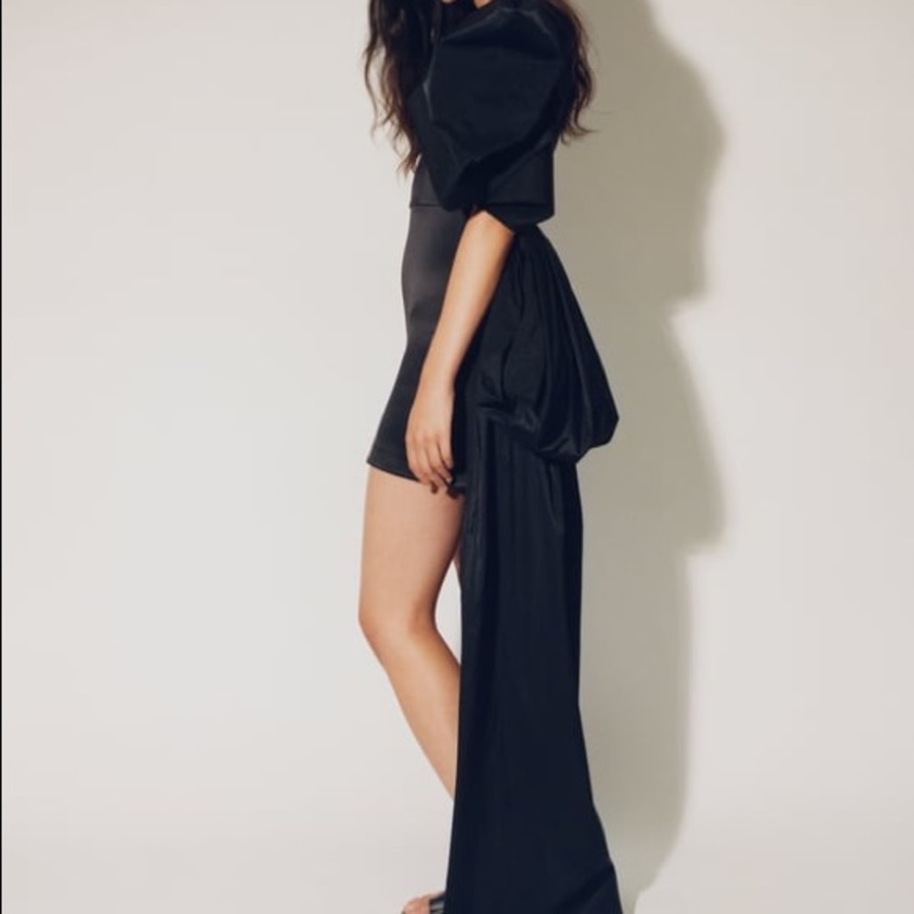 Zara dress